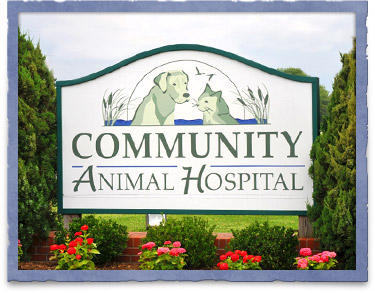 Community Animal Hospital in Easton, MD
